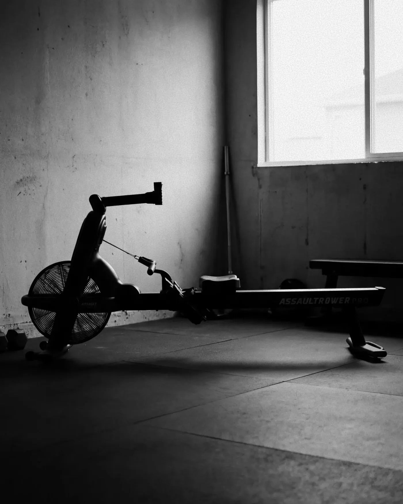 AIR ROWER – Assault Fitness